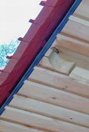 Ein Foto von Wolfgang Braungardt