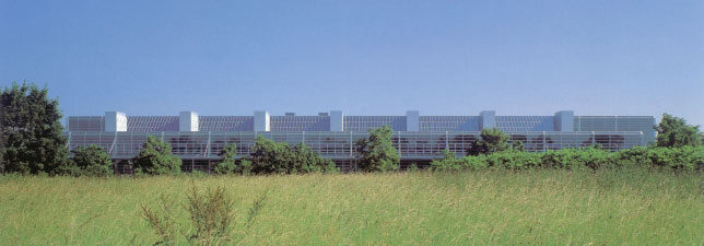 Ein Foto von Ingrid Voth-Amslinger