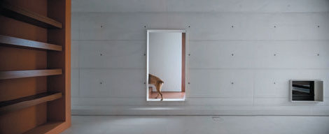 Ein Foto von Fernando Guerra