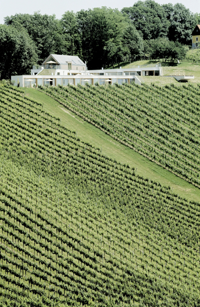 Ein Foto von Angelo Kaunat