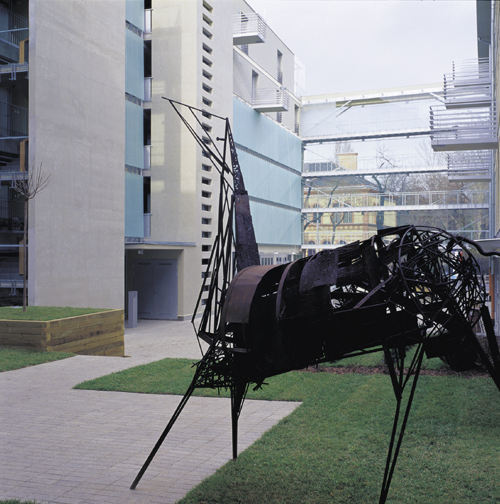 Ein Foto von János Szentiváni