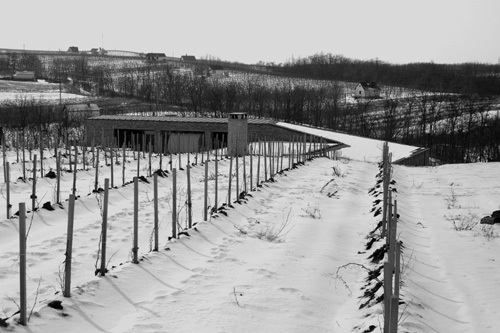 Ein Foto von Zsolt Zsuffa