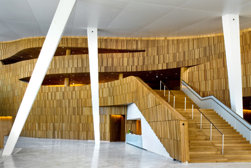 Ein Foto von Jaro Hollan