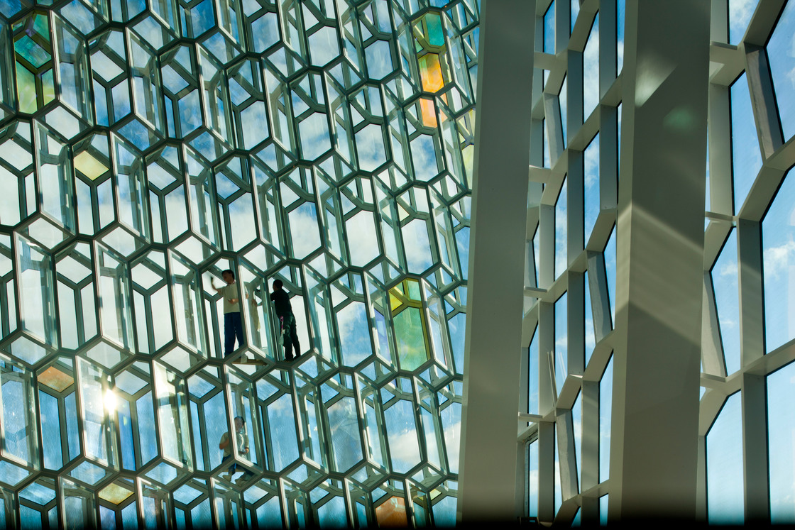 Ein Pressebild von Nic Lehoux