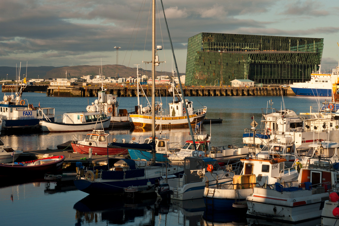 Ein Pressebild von Nic Lehoux