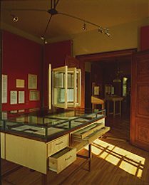 Ein Foto von Margherita Spiluttini