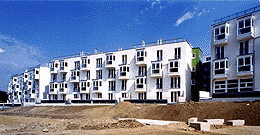 Ein Foto von Rupert Steiner