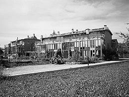 Ein Foto von Margherita Spiluttini