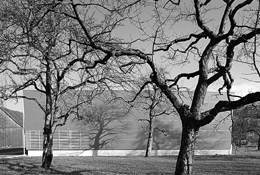 Ein Foto von Ignacio Martinez