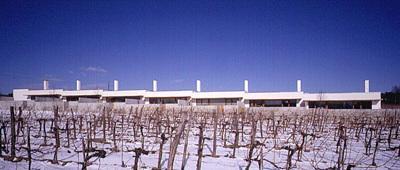 Ein Foto von Gisela Erlacher