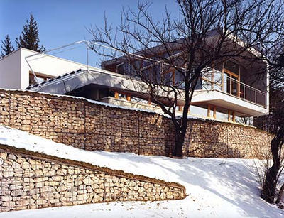 Ein Foto von Veronika Hofinger