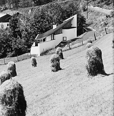 Ein Foto von Craig Kuhner