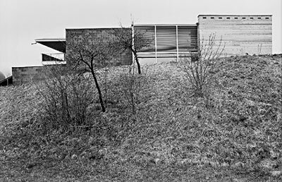 Ein Foto von Craig Kuhner