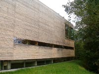 Ein Foto von raumhochrosen