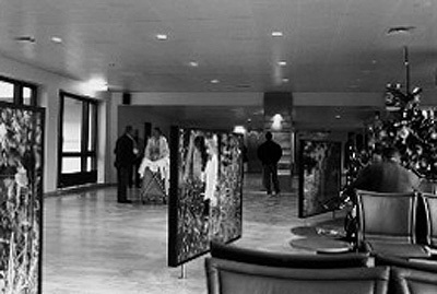 Ein Foto von Andrea van der Straeten