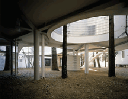 Ein Foto von Hirai photo