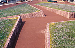 Ein Foto von Daniel Koning