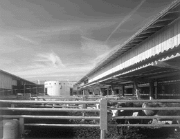 Ein Foto von SFH Bildkommunikation GmbH