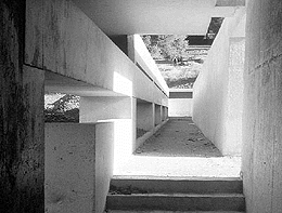 Ein Foto von Nigst - Hubmann - Vass