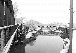 Ein Foto von Martin Häusle