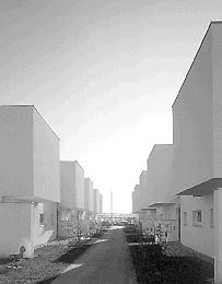 Ein Foto von Rupert Steiner