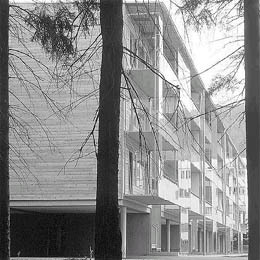 Ein Foto von Damir Fabijanić