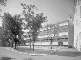 Ein Foto von Margherita Spiluttini