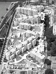 Ein Foto von Michaela Seidler