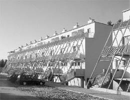 Ein Foto von Monique Heintz