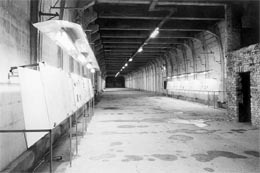 Ein Foto von Steiner