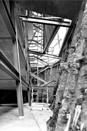 Ein Foto von Veronika Hofinger