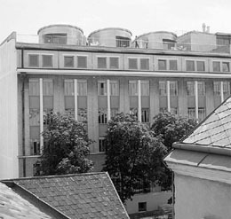 Ein Foto von Monique Heintz