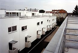 Ein Foto von Sasha Pirker