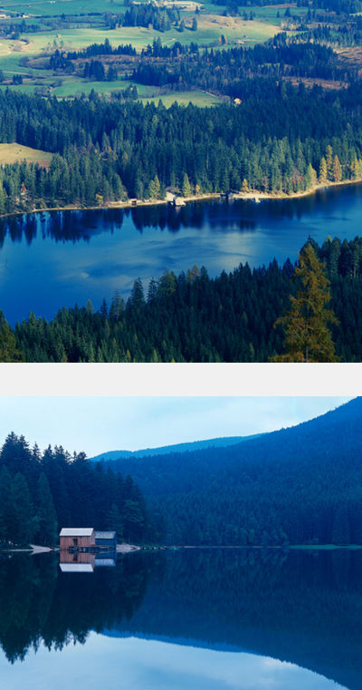 Ein Foto von Peter Eder