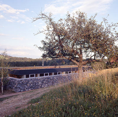 Ein Foto von Zita Oberwalder