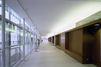 Ein Foto von Pia Odorizzi