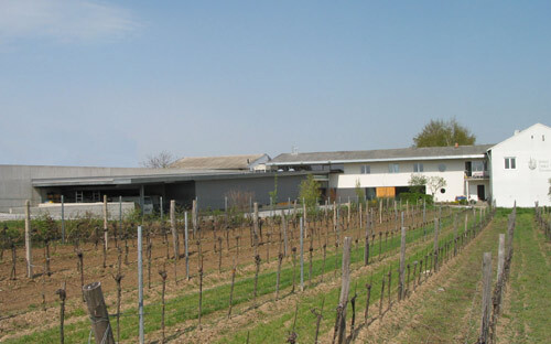 Ein Foto von Otmar Hasler