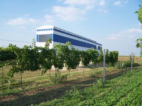 Ein Foto von Klaus Stattmann