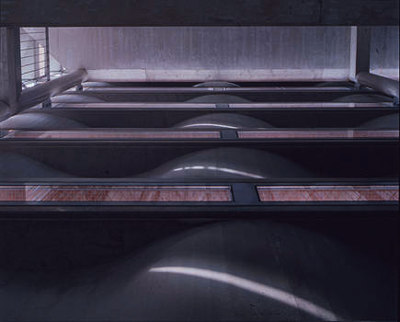 Ein Foto von Paul Ott