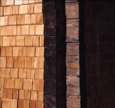 Ein Foto von Michelle Schmollgruber