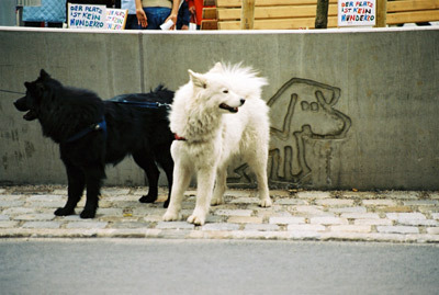 Ein Foto von Andrea Zeitlhuber