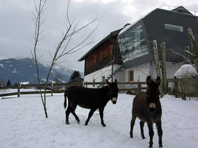 Ein Foto von Caramel