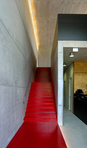 Ein Foto von Susanne Reisenberger-Wolf