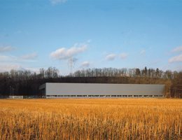 Ein Foto von Pia Odorizzi