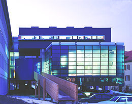 Ein Foto von Angelo Kaunat