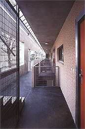 Ein Foto von Rupert Steiner