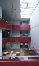 Ein Foto von Rupert Steiner