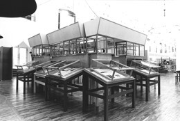 Ein Foto von Harald Schönfellinger