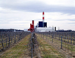 Ein Foto von Margherita Spiluttini