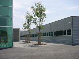 Ein Foto von Albert Weber